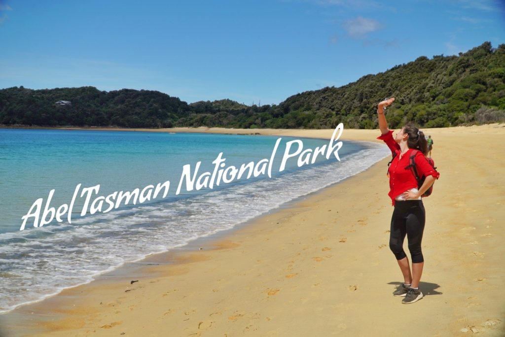Abel Tasman National Park Nowa Zelandia