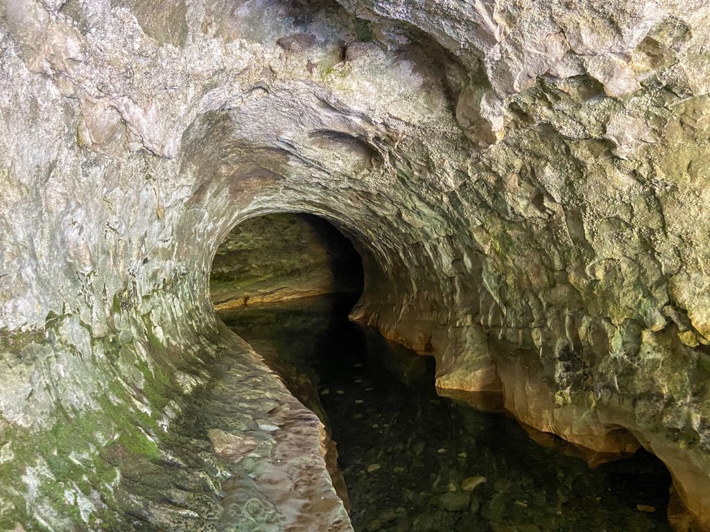Stream Cave jakinia