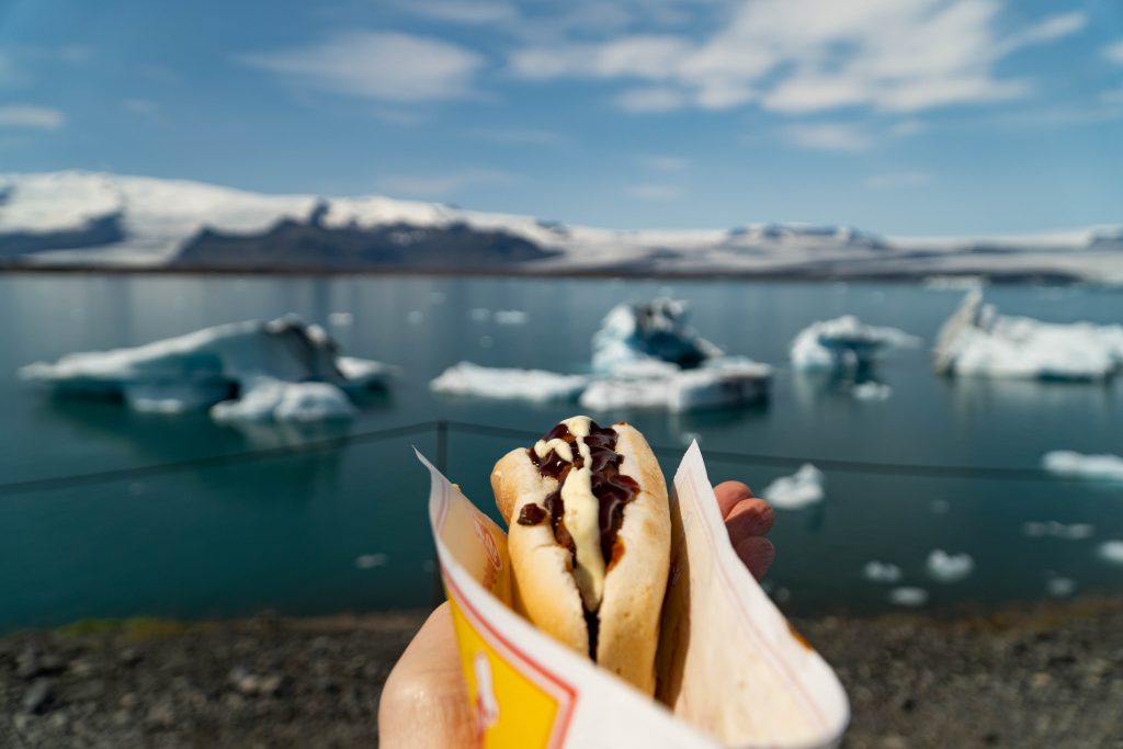 Laguna lodowcowa Jökulsárlón i Diamond Beach Islandia hot dog