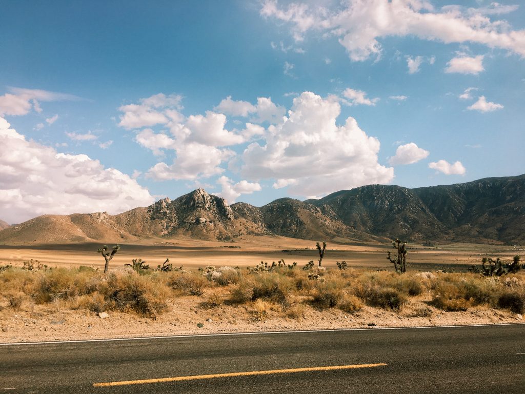 Kalifornia pustynia